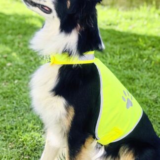 Korntex Stretchy Hi-Vis Safety Dog's vest
